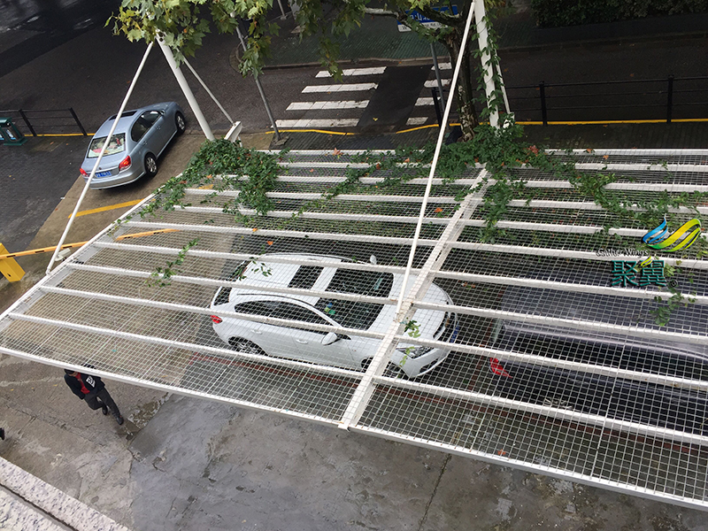 JY60綠植車棚局部圖片2