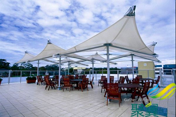 3130367538_1171213094